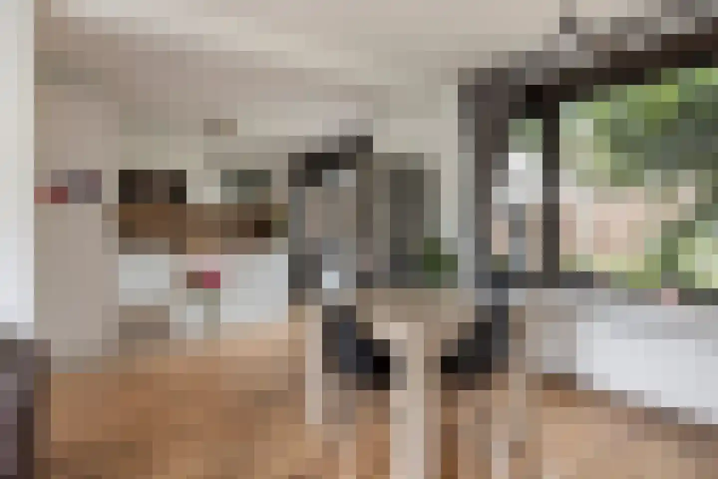 Irenestraat 1 Meerlo thumbnail 9