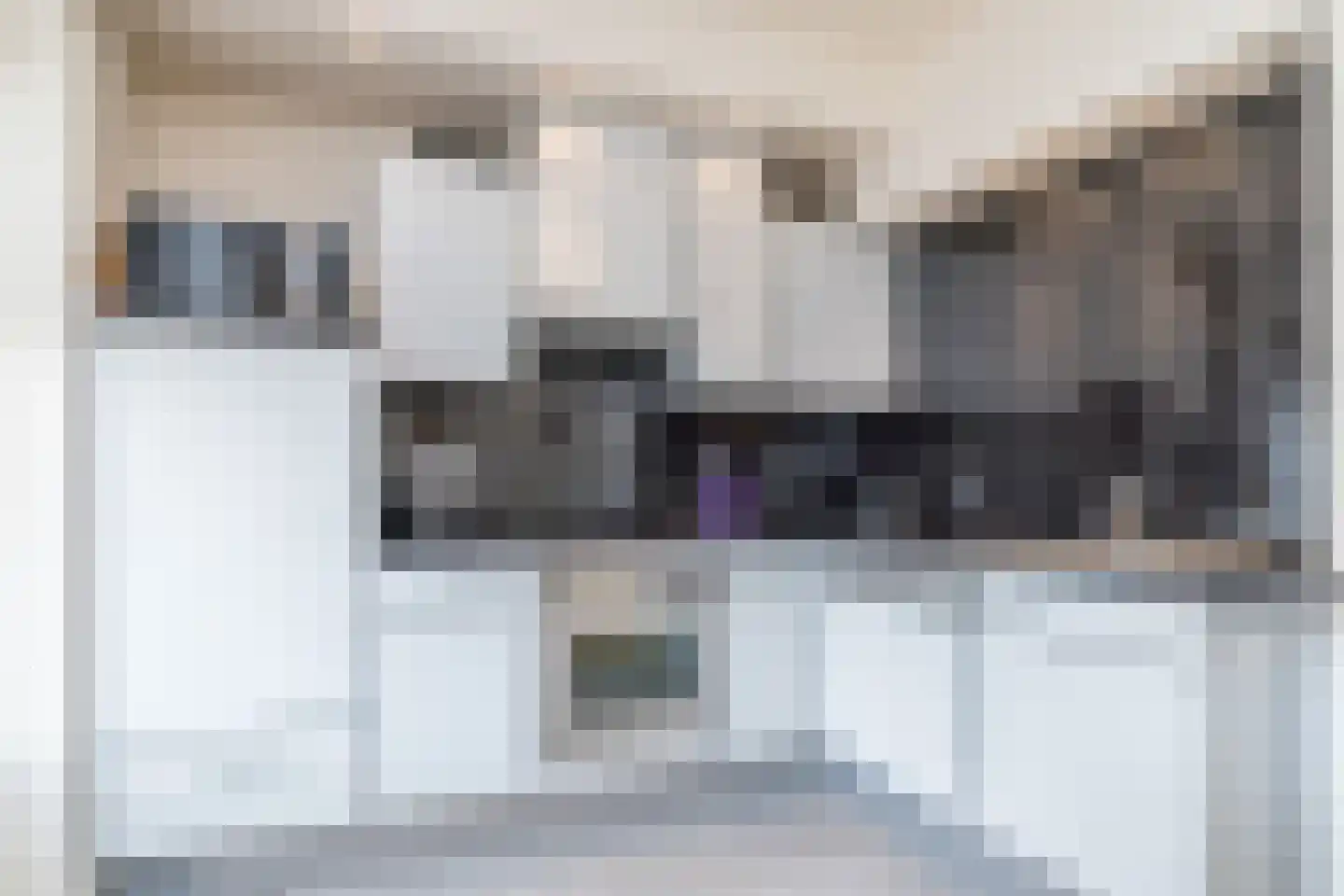 Irenestraat 1 Puth thumbnail 11