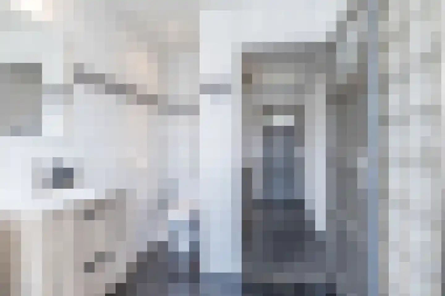Irenestraat 1 Puth thumbnail 22