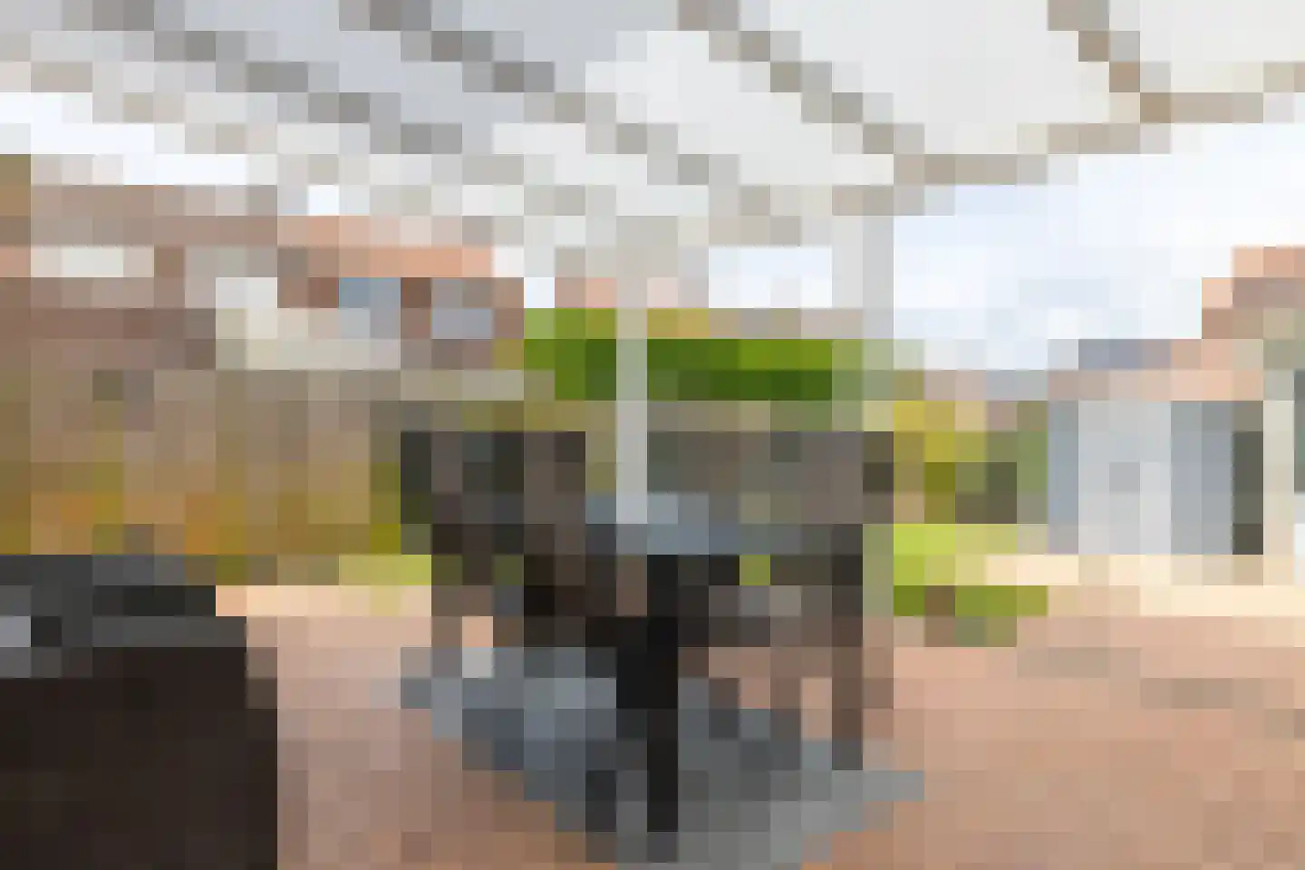 Irenestraat 1 Puth thumbnail 24