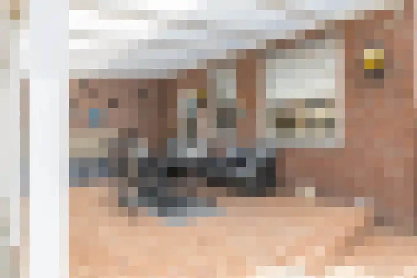 Irenestraat 1 Puth thumbnail 25