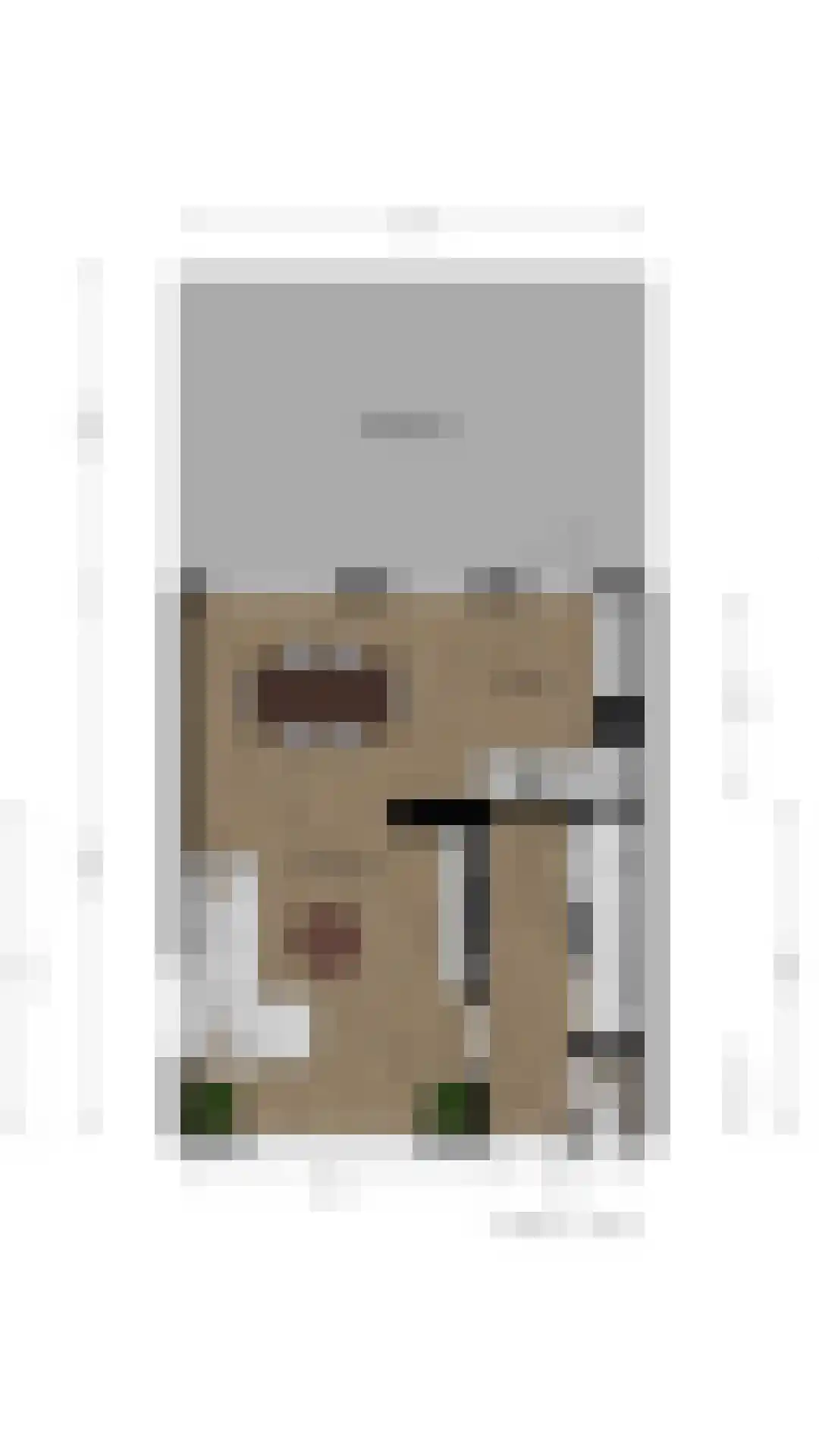 Irenestraat 1 Puth thumbnail 33