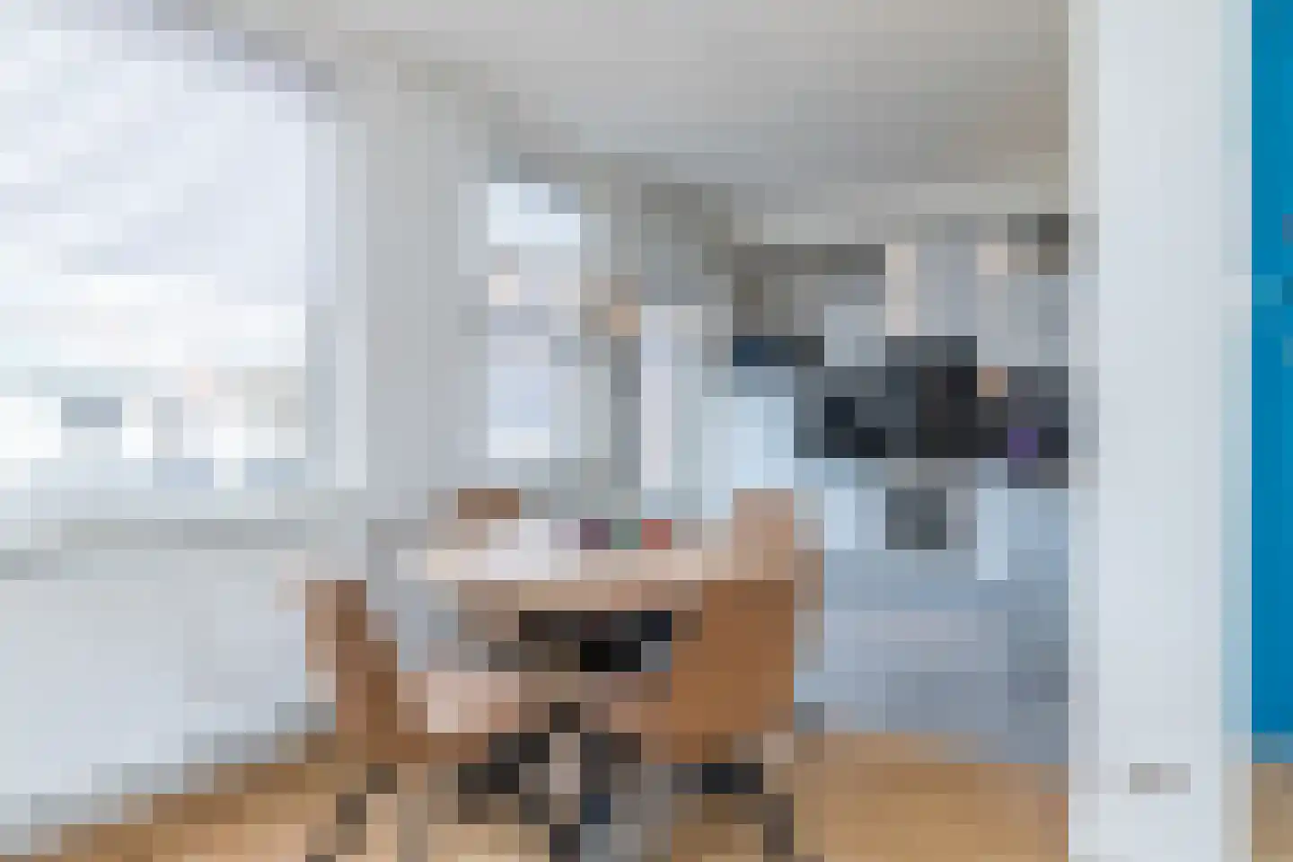 Irenestraat 1 Puth thumbnail 9