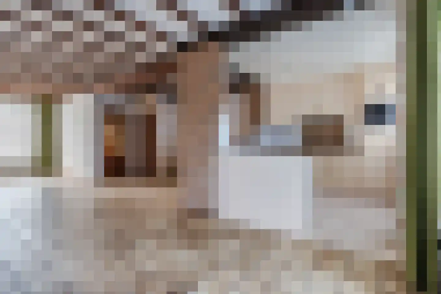 Irenestraat 1 Veldhoven thumbnail 12