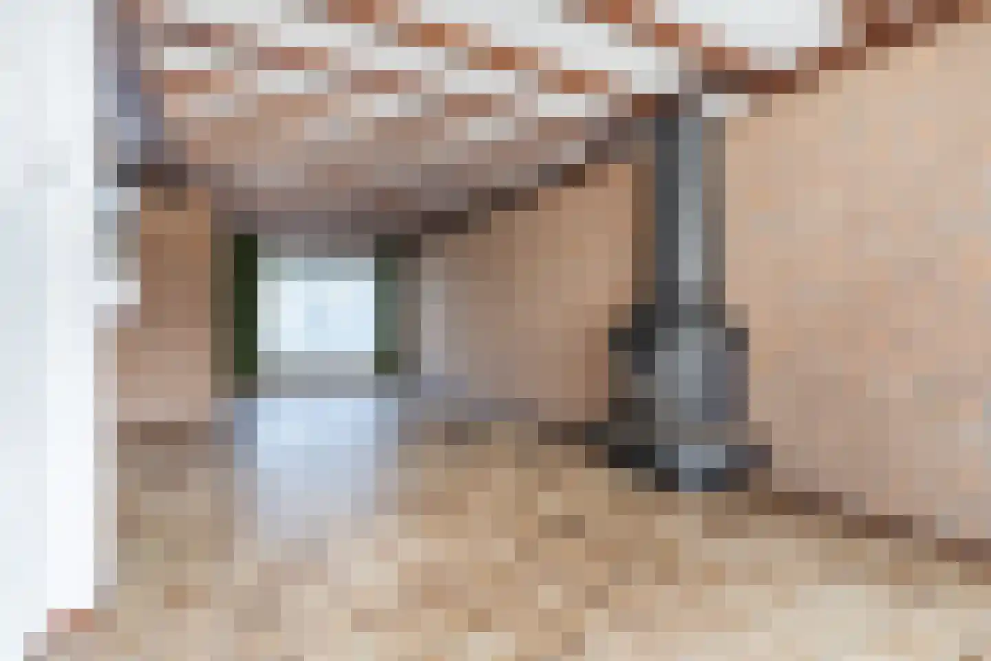 Irenestraat 1 Veldhoven thumbnail 7