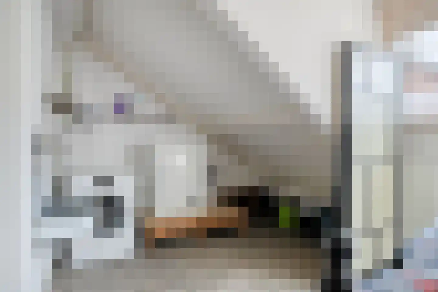 Irenestraat 10 Bakel thumbnail 20
