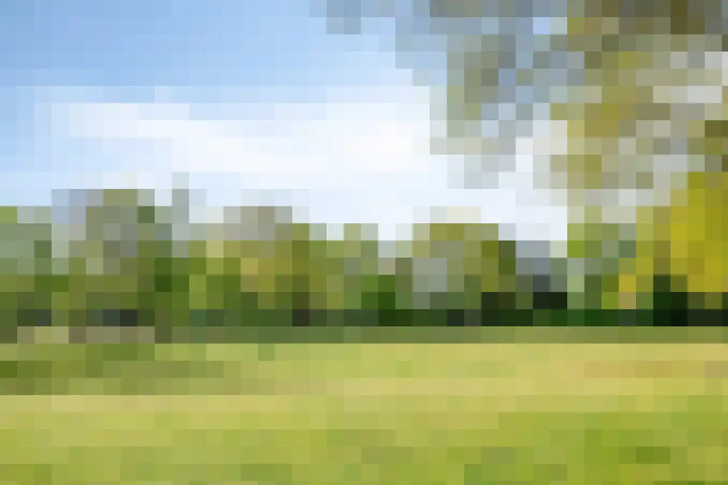 Irenestraat 10 Bakel thumbnail 35