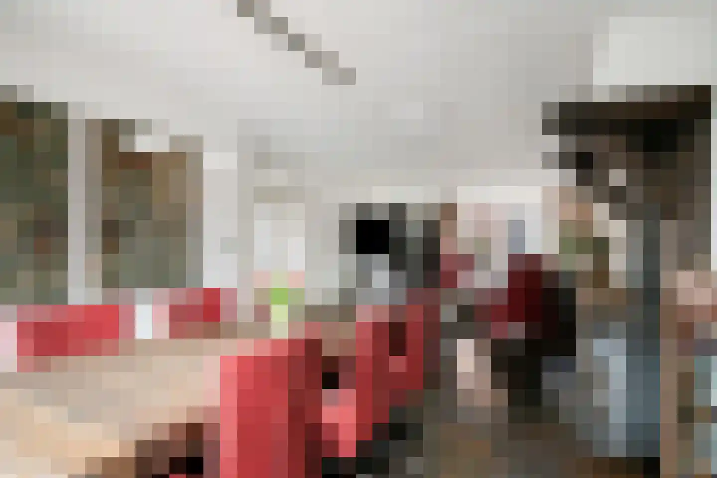 Irenestraat 10 Bakel thumbnail 9