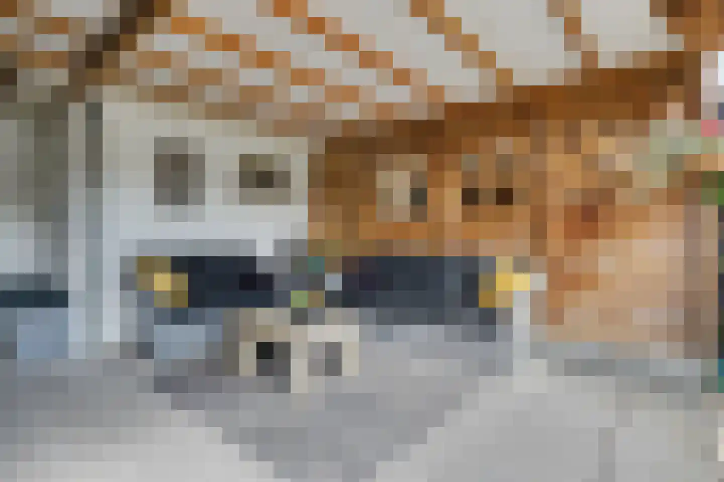 Irenestraat 10 Colijnsplaat thumbnail 41