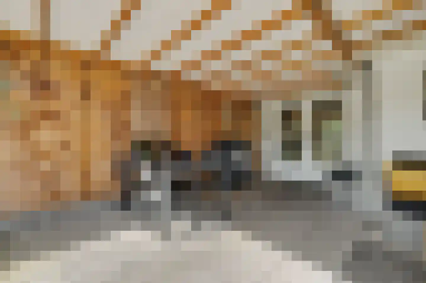 Irenestraat 10 Colijnsplaat thumbnail 42