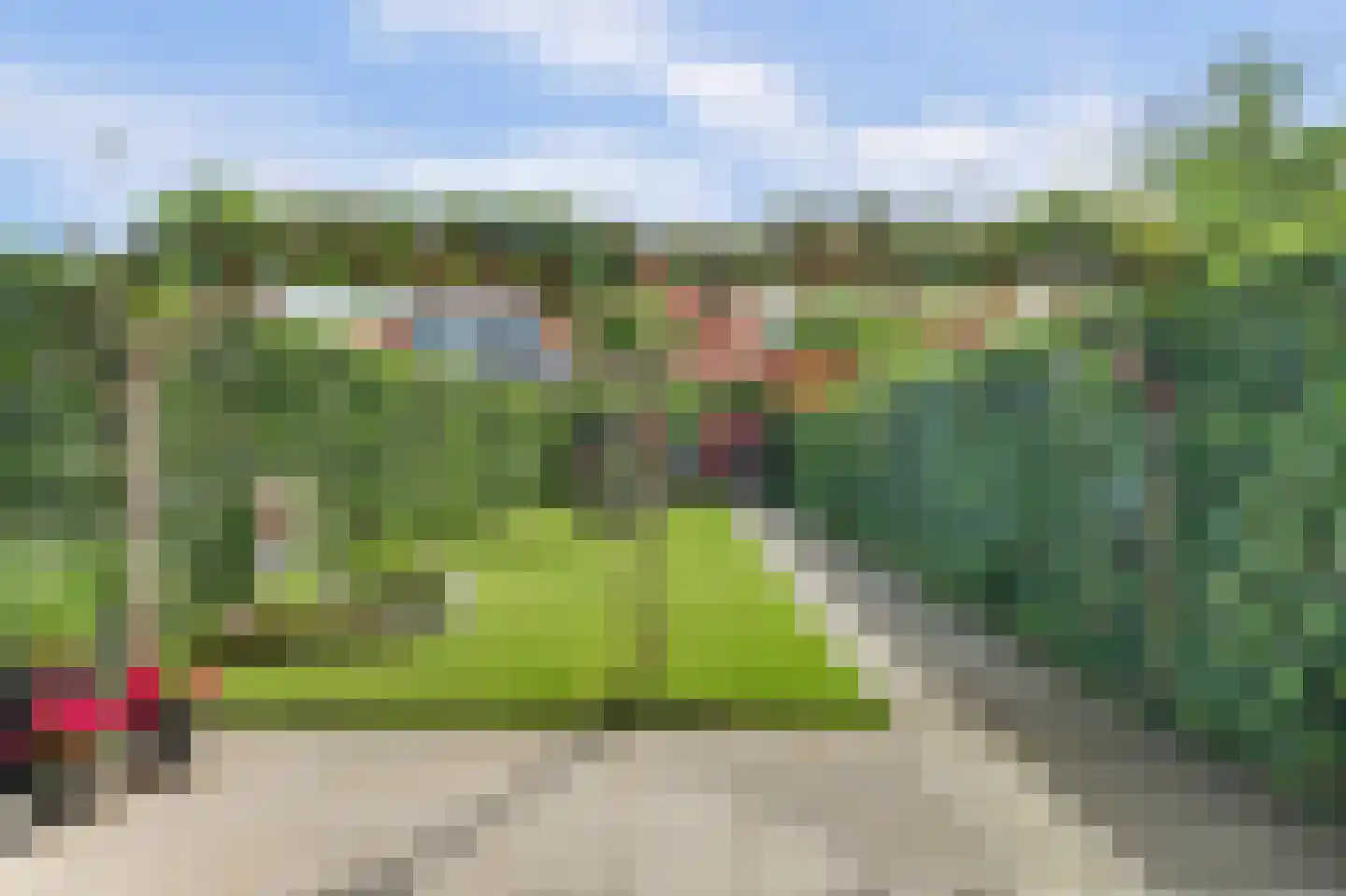 Irenestraat 10 Colijnsplaat thumbnail 44