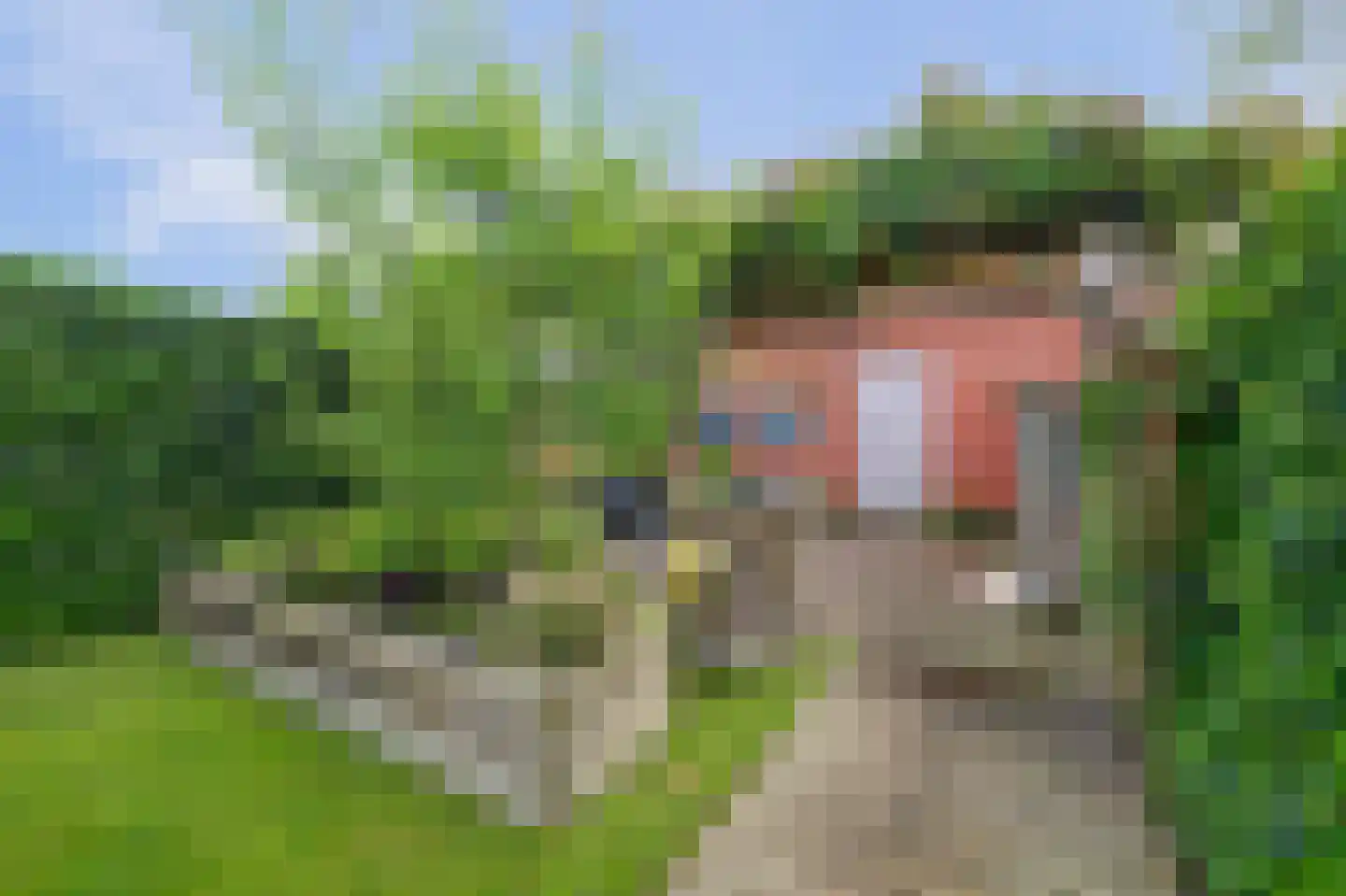 Irenestraat 10 Colijnsplaat thumbnail 47