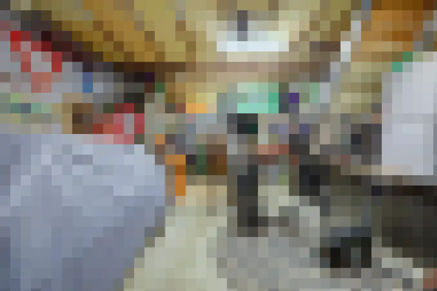 Irenestraat 10 Colijnsplaat thumbnail 51