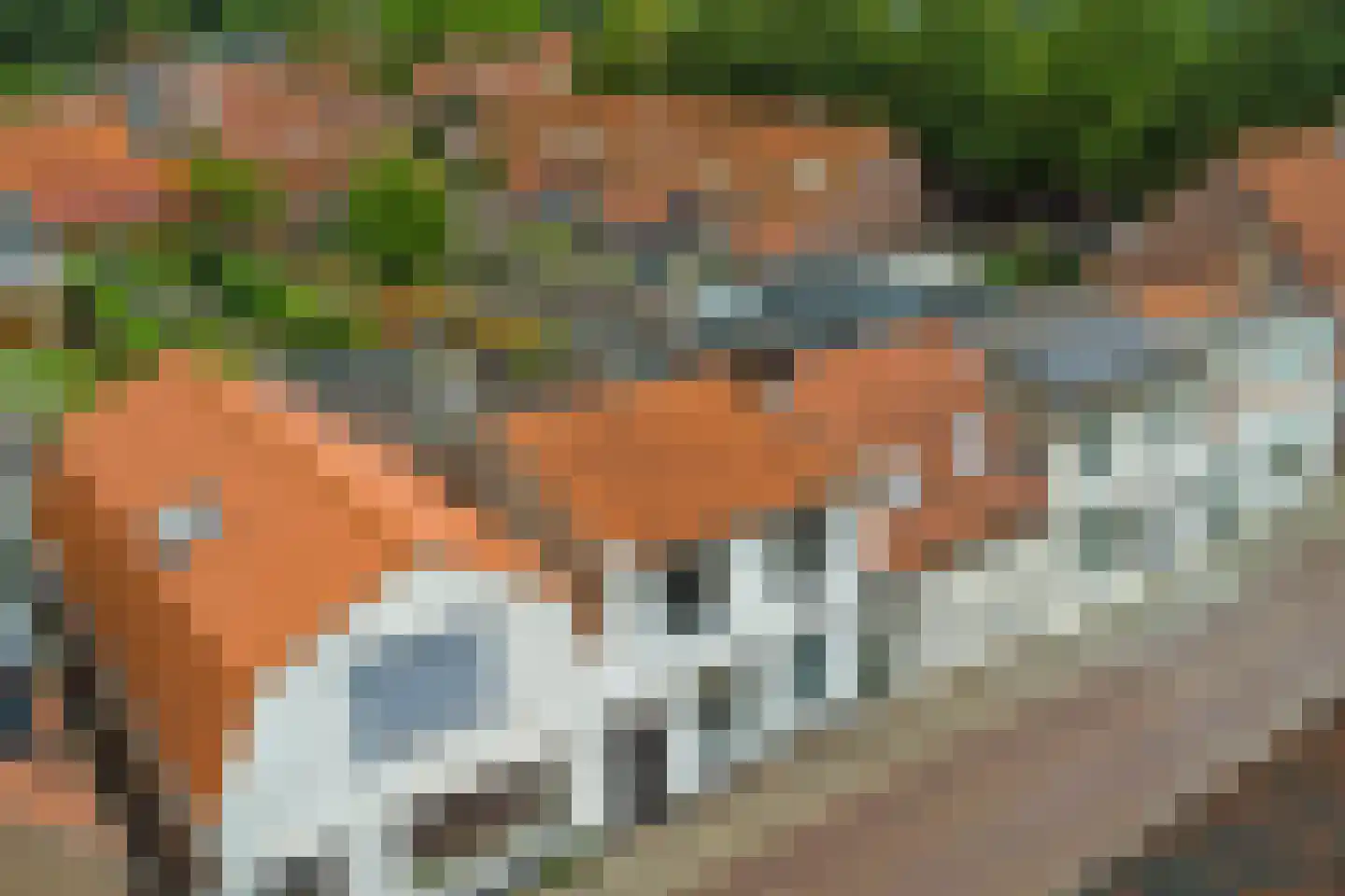 Irenestraat 10 Colijnsplaat thumbnail 54