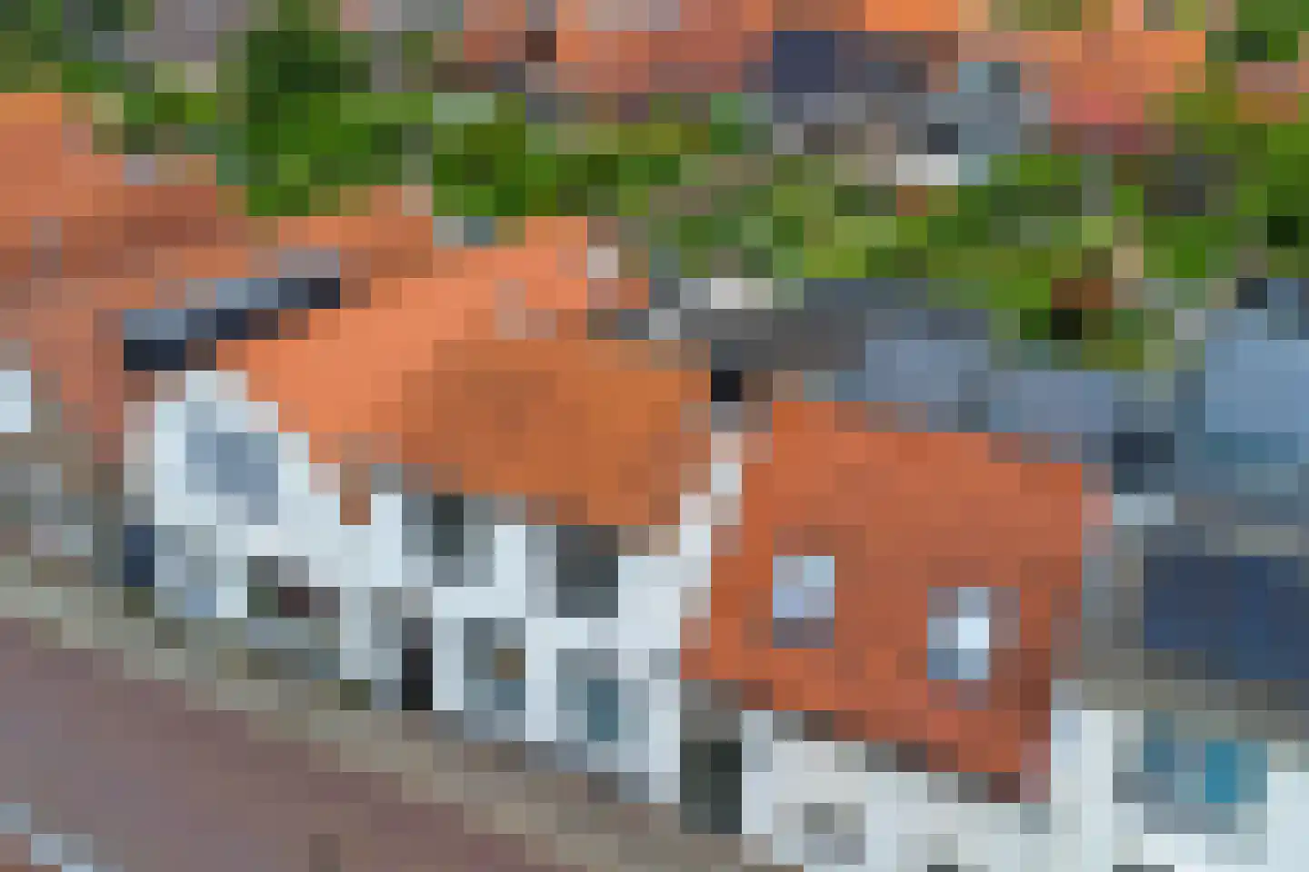 Irenestraat 10 Colijnsplaat thumbnail 57