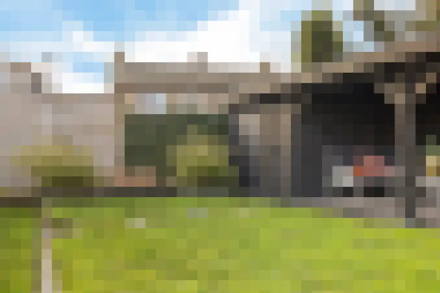 Irenestraat 10 Delden thumbnail 41