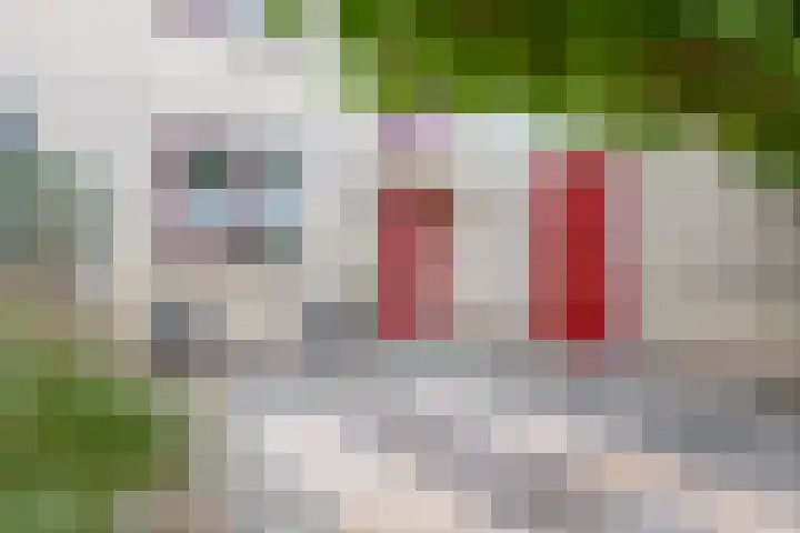 Irenestraat 10 Zwartewaal thumbnail 10