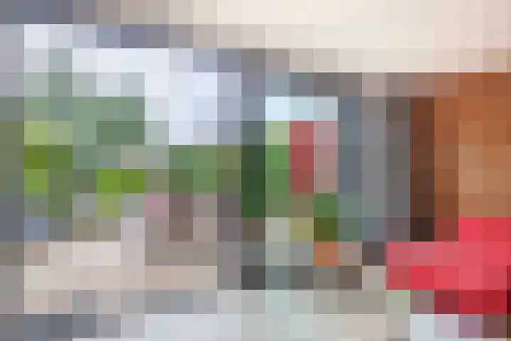 Irenestraat 10 Zwartewaal thumbnail 21