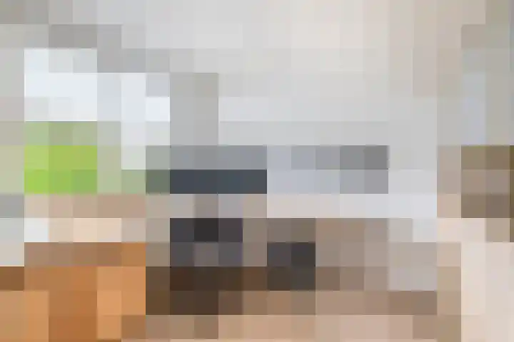 Irenestraat 10 Zwartewaal thumbnail 30