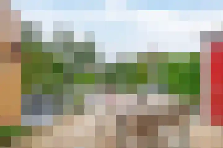 Irenestraat 10 Zwartewaal thumbnail 37