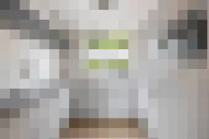 Irenestraat 10 Zwartewaal thumbnail 4