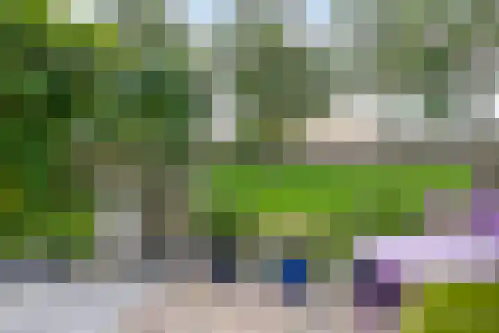 Irenestraat 10 Zwartewaal thumbnail 41