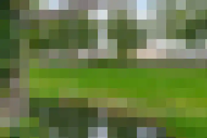 Irenestraat 10 Zwartewaal thumbnail 42