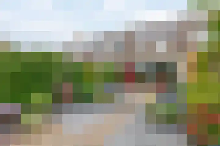 Irenestraat 10 Zwartewaal thumbnail 43