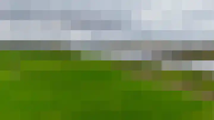 Irenestraat 10 Zwartewaal thumbnail 47