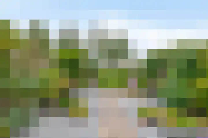 Irenestraat 10 Zwartewaal thumbnail 5
