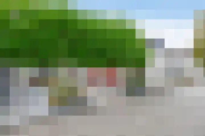 Irenestraat 10 Zwartewaal thumbnail 8