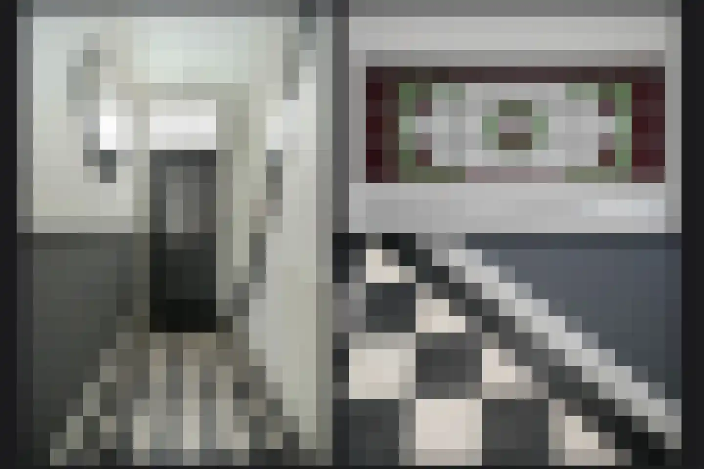 Irenestraat 11 Beneden-Leeuwen thumbnail 19