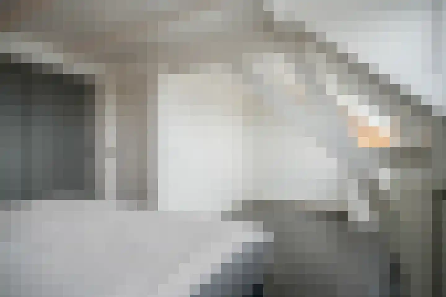Irenestraat 11 Beneden-Leeuwen thumbnail 21