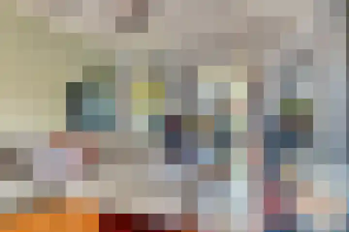 Irenestraat 11 Druten thumbnail 13