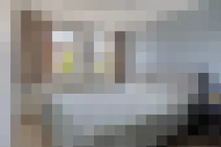 Irenestraat 11 Druten thumbnail 24