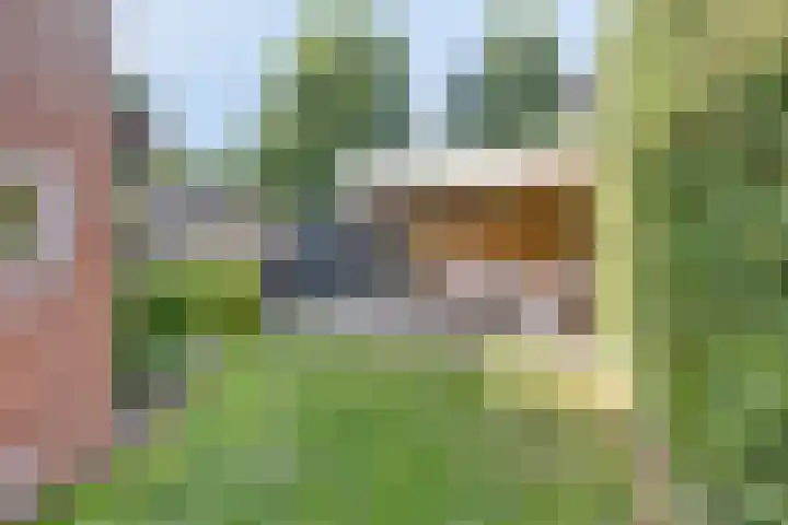 Irenestraat 11 Druten thumbnail 33