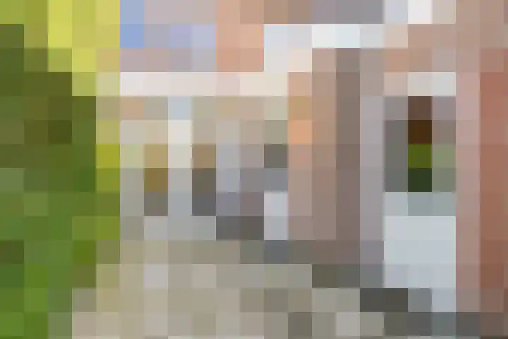 Irenestraat 11 Druten thumbnail 34