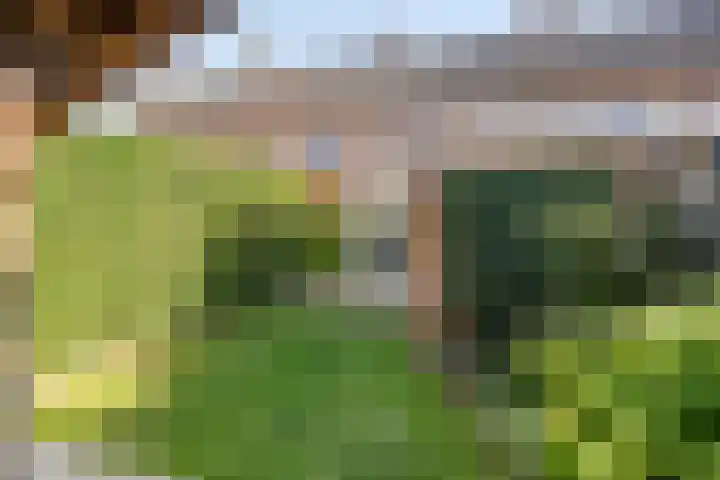 Irenestraat 11 Druten thumbnail 35