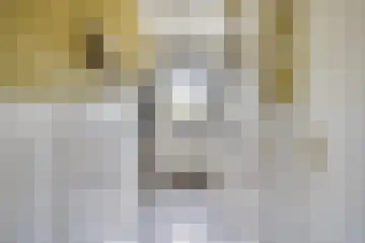 Irenestraat 11 Druten thumbnail 6