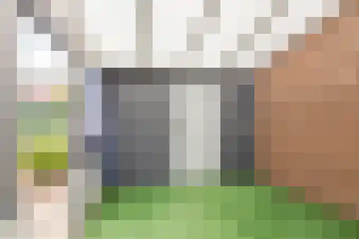 Irenestraat 11 Puth thumbnail 13