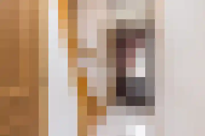 Irenestraat 11 Puth thumbnail 15