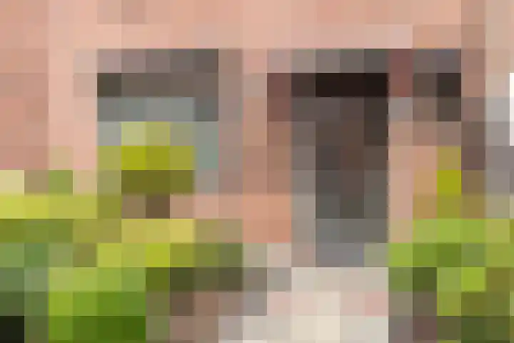 Irenestraat 11 Puth thumbnail 4