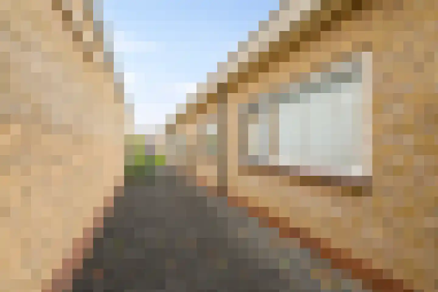 Irenestraat 12 Huissen thumbnail 25