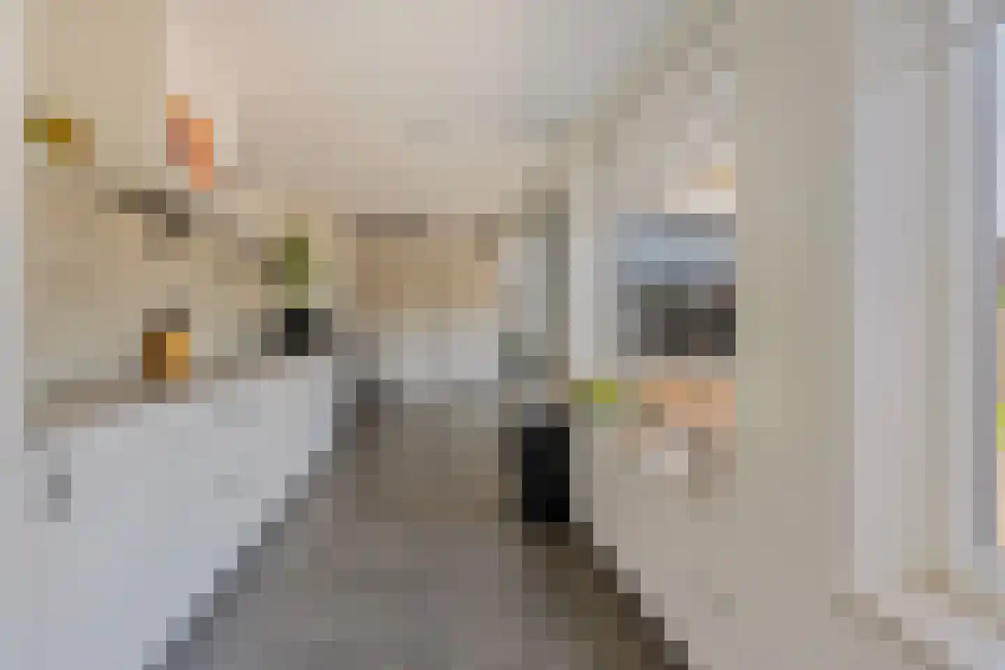 Irenestraat 12 Velden thumbnail 12