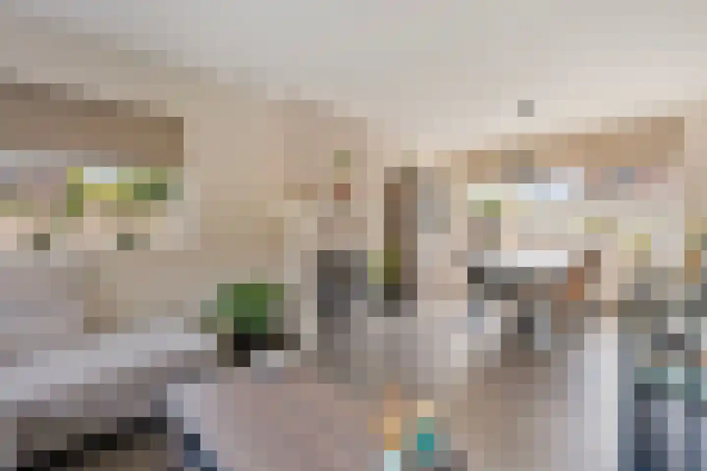 Irenestraat 12 Velden thumbnail 7
