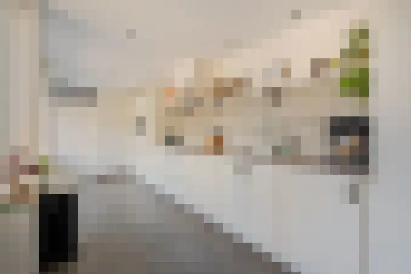 Irenestraat 12 Velden thumbnail 9