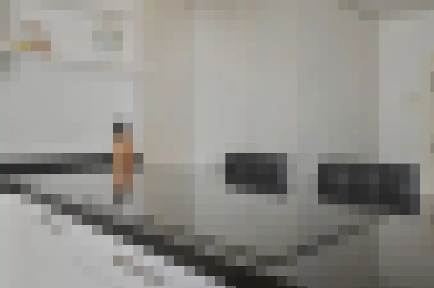 Irenestraat 12 Wilnis thumbnail 13