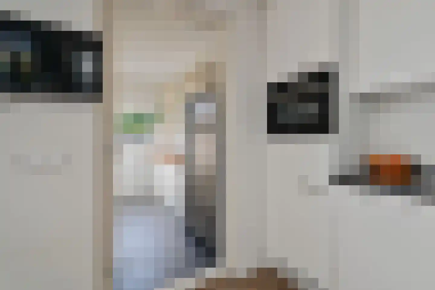 Irenestraat 12 Wilnis thumbnail 14