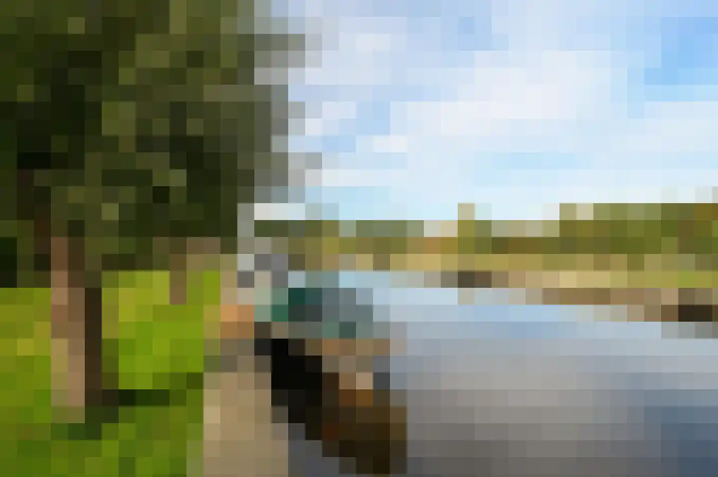 Irenestraat 12 Wilnis thumbnail 39