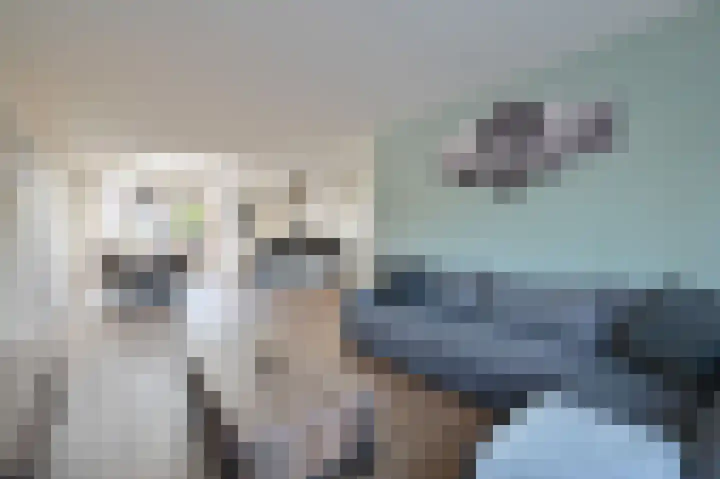 Irenestraat 12 Wilnis thumbnail 7